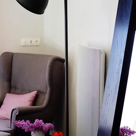 D'hotes Du Chemin Des Vignes B&B Briennon