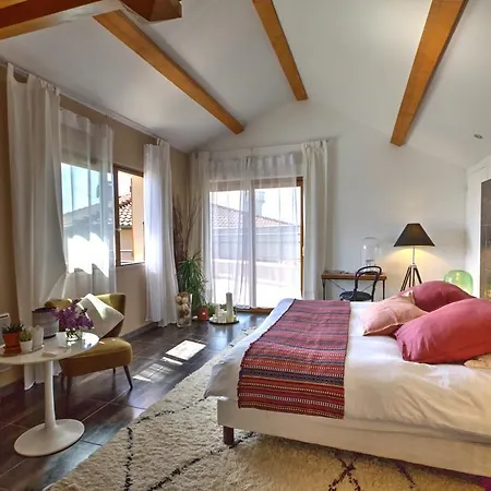 D'hotes Du Chemin Des Vignes B&B Briennon