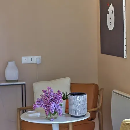 B&B D'hotes Du Chemin Des Vignes Briennon